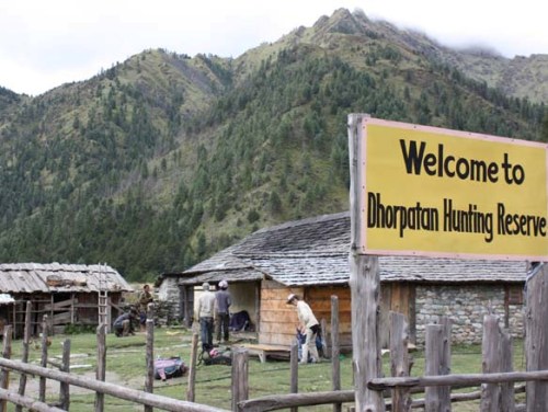 No Nepali visited Dhorpatan for wild boars hunting: Reserve