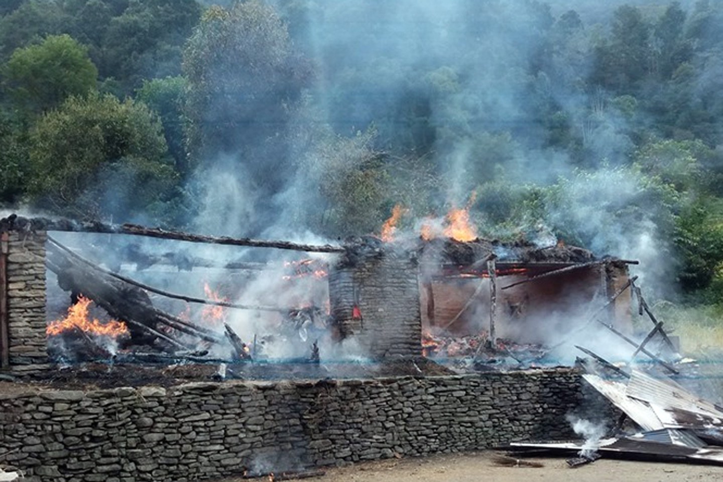 Fire breaks out in cattle farm, kills five cows