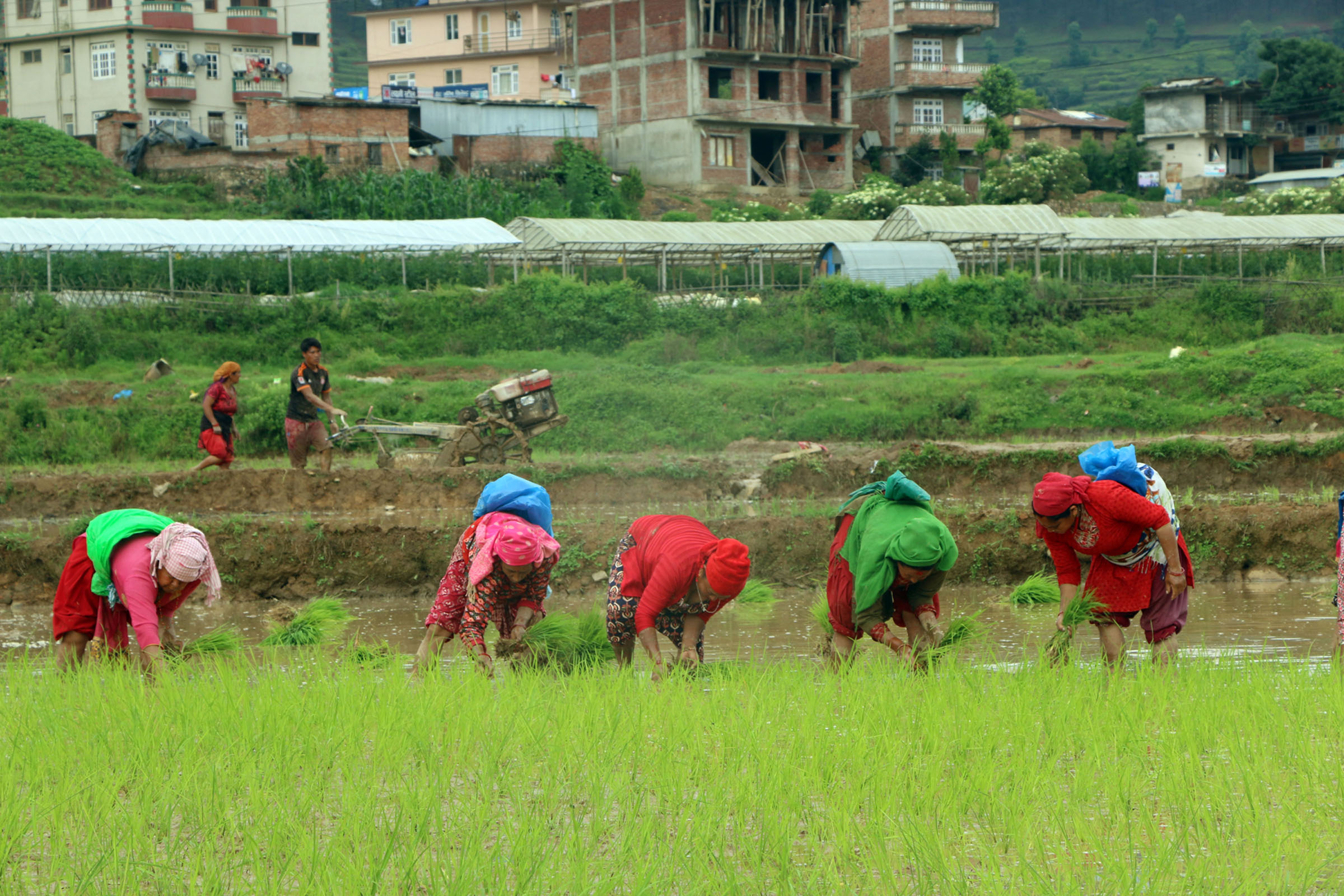 Promotion of self-sufficiency in agriculture highlighted
