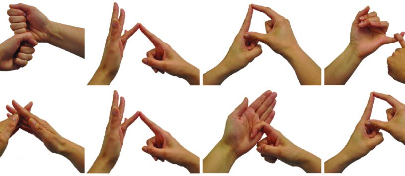 International Sign Language Day: Three headways of Nepali Sign Language in State-1
