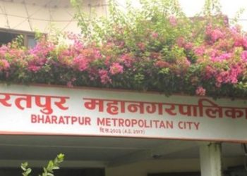 Bharatpur Metro provides 50 percent subsidy to promote fish farming