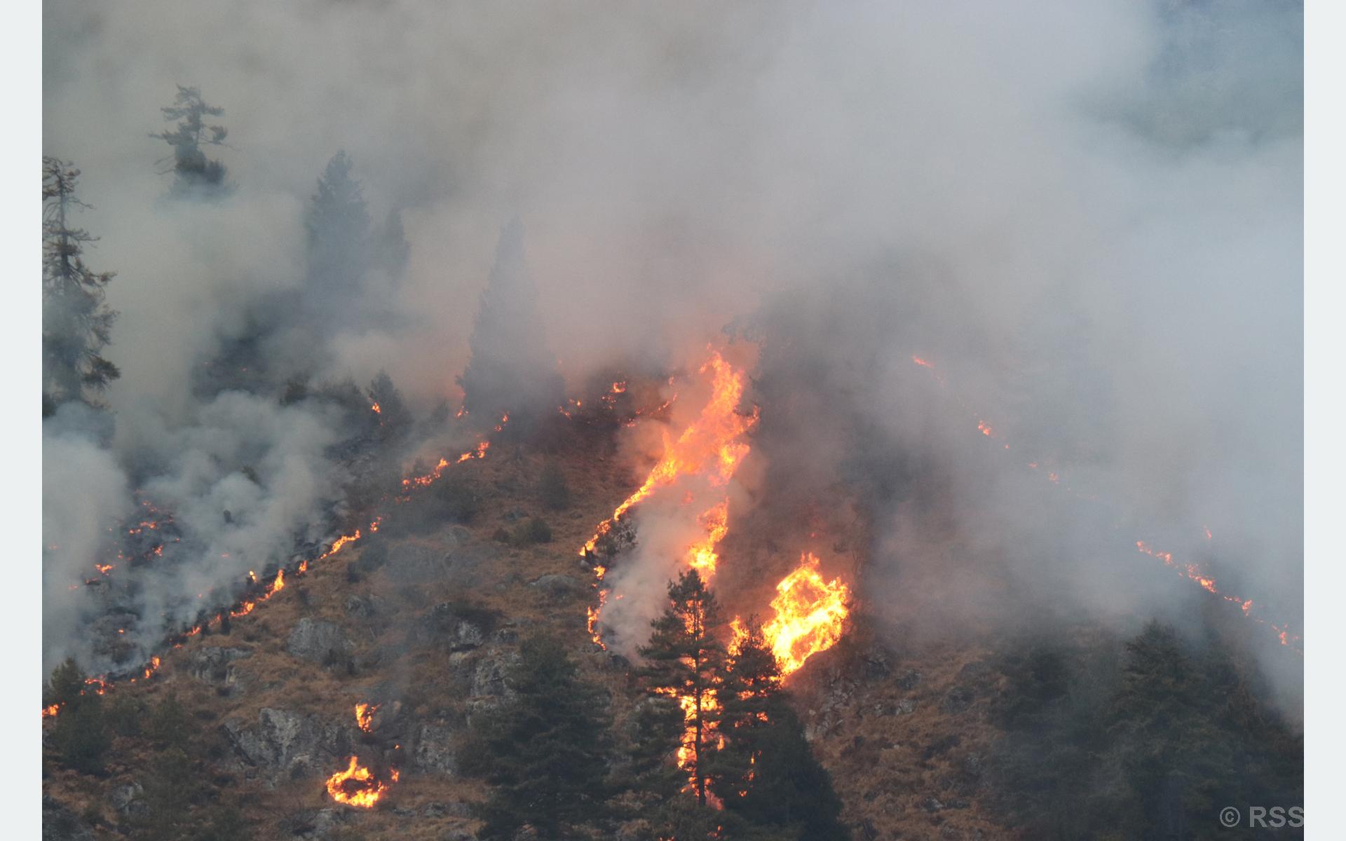 330 hectares of forests destroyed in bushfires in Baglung