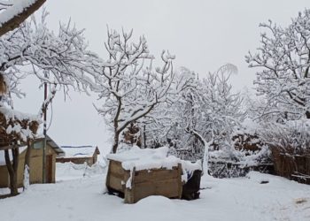Snowfall recurrence causes challenges and travel disruptions in Humla