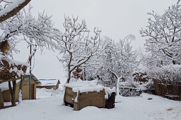 Snowfall recurrence causes challenges and travel disruptions in Humla