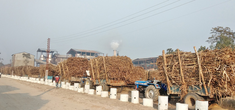 Mahalaxmi Sugar Mill closes without paying dues to farmers