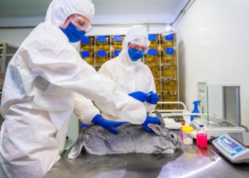 Russia registers world’s first COVID-19 vaccine for animals