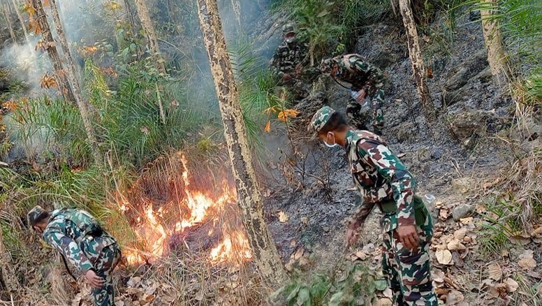Two killed in Lumbini forest fire