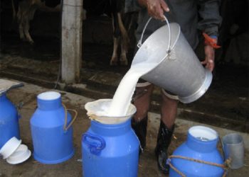 Kanchanpur turns to be self-sufficient in milk and meat