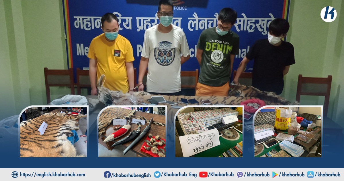 Chinese criminal gang involved in wildlife smuggling and gambling lands in police net (with video)
