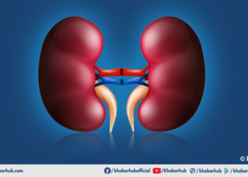 These are the habits that damage kidneys
