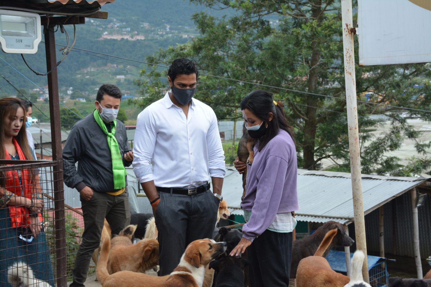 Golyan Group supports feeding and neutering street dogs