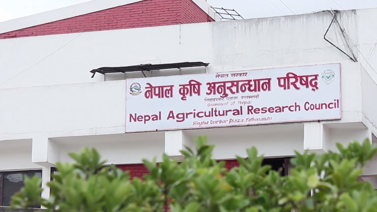 NARC preserves more than 18,000 varieties of 300 crops
