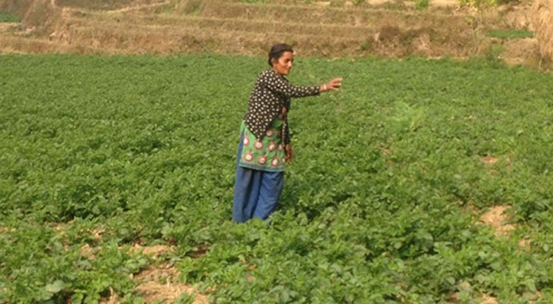 Number of women entrepreneurs increases in Chitwan