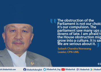 HoR cannot function unless the Speaker takes the role of guardian: UML Deputy PP leader Nembang