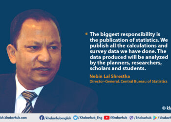 12th National Census: Data system should be decentralized
