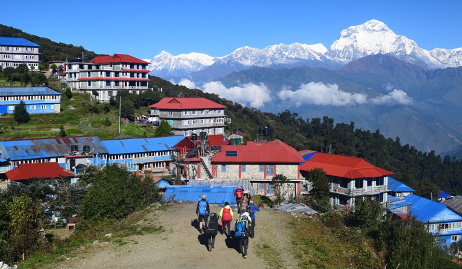 Hotels and lodges in Myagdi filled with domestic tourists