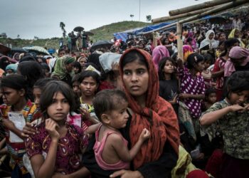 The Rohingya exodus and India