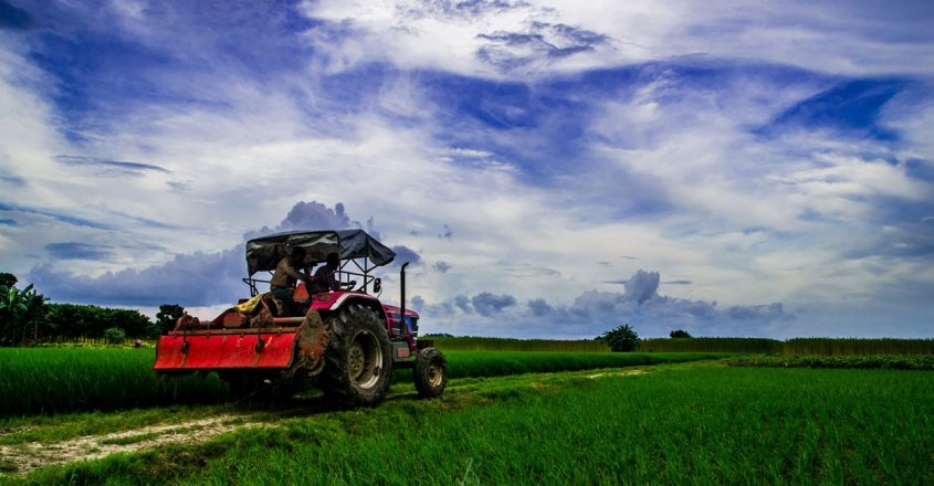 Sri Lanka bans Chinese organic fertiliser after bacteria detection