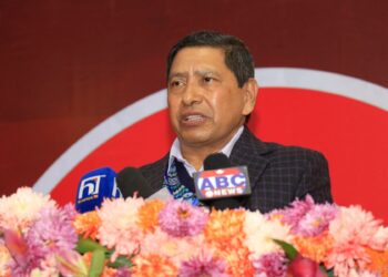 DPM Shrestha insists on protecting achievements