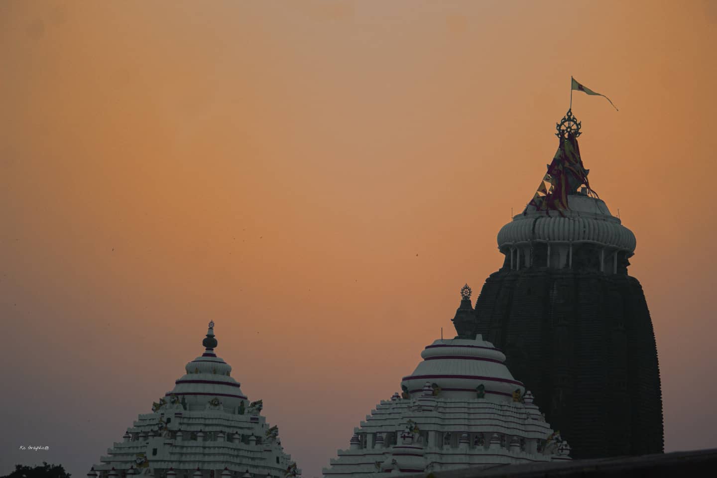 COVID-19: Nepali pilgrims advised to revise Jagannath temple visit plans to Odisha
