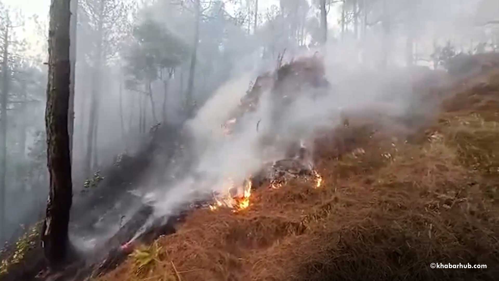 Forest fire breaks out in Shivapuri National Park (With video)