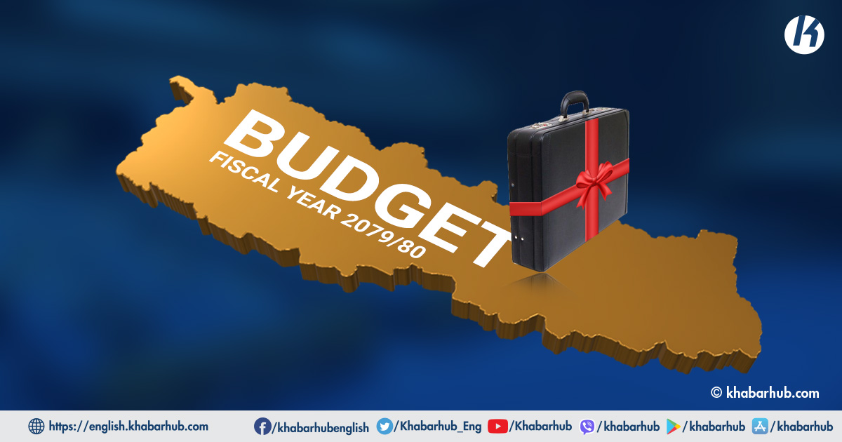 Budget allocations to ministries and departments