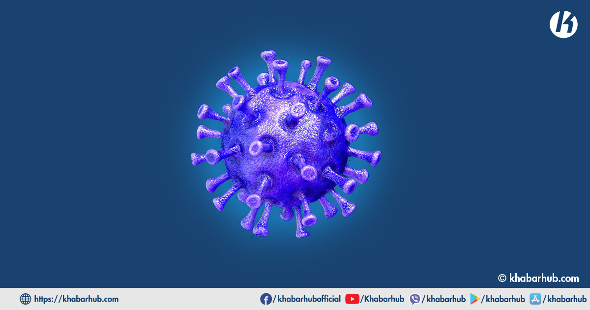 No new coronavirus cases recorded in past 24 hours, active cases 12