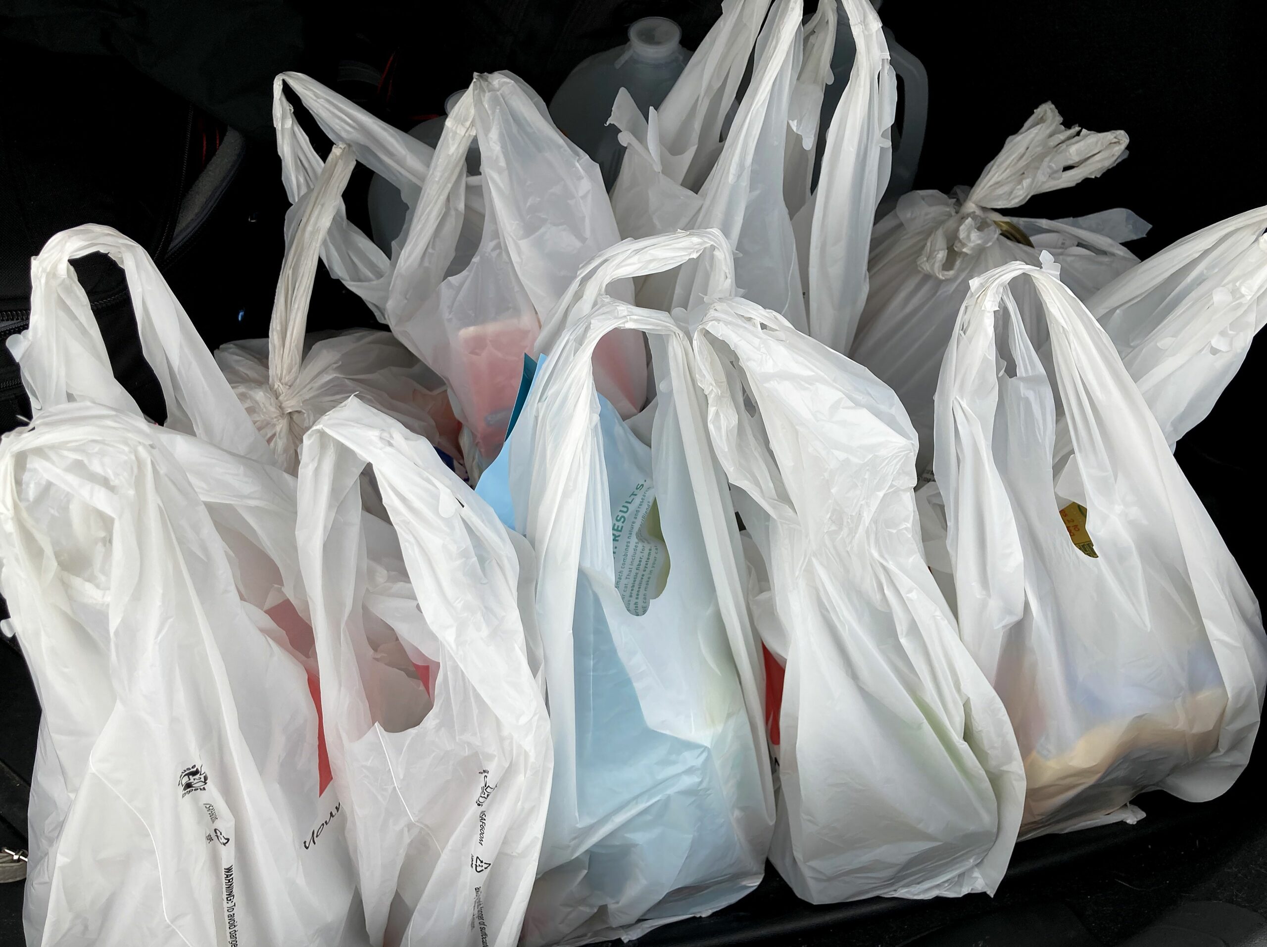 Government bans plastic bags below 40 microns