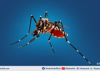 Dengue infections surpass 40,000 in Nepal