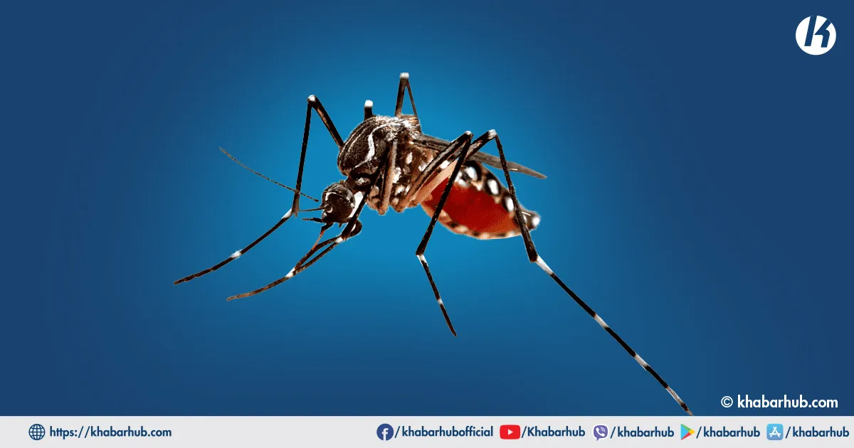 Sankhuwasabha reports 1,700 plus dengue patients