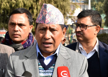 Political achievements endangered from all corners: DPM Shrestha