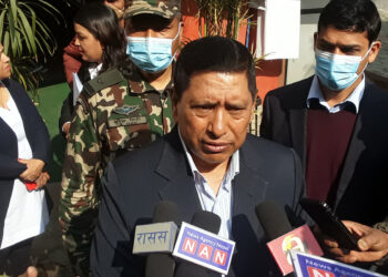 Cabinet expansion within a couple of days: DPM Shrestha