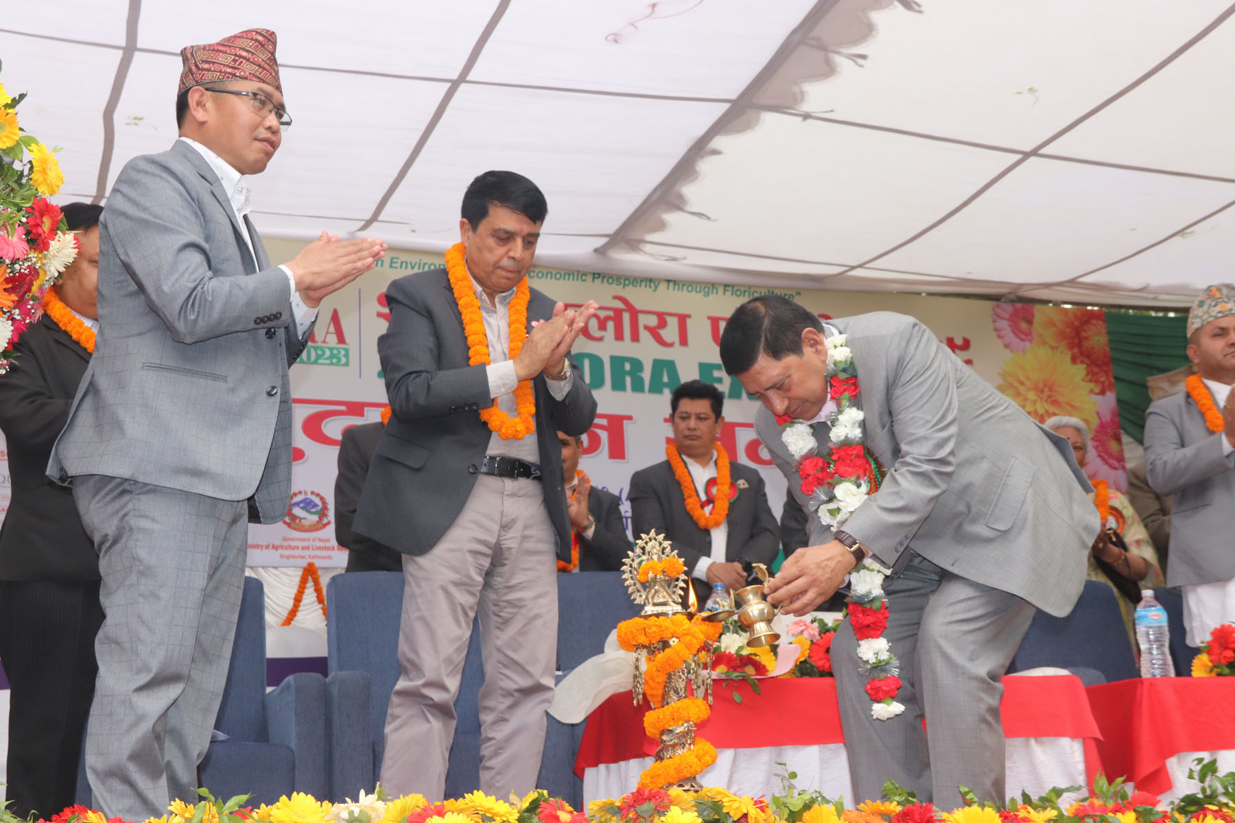 Economy will see better days soon: DPM Shrestha