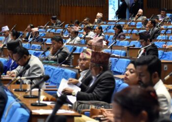 Lawmakers demand formulation of laws related to fundamental rights