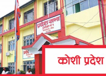 UML protests in Koshi province assembly over budget replacement bill