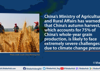China’s food security under threat