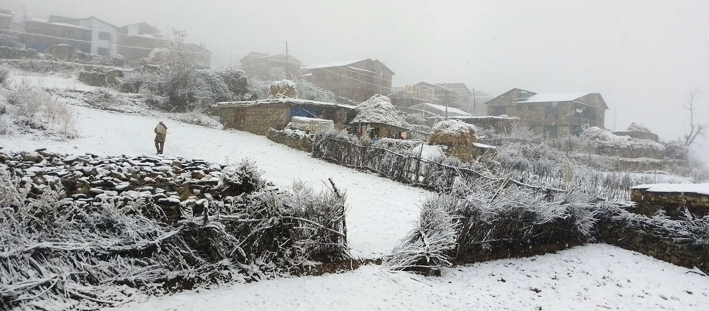 Snowfall in Humla makes life difficult for residents