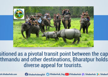 Bharatpur Tourism Year: Will it hold diverse appeal for tourists?
