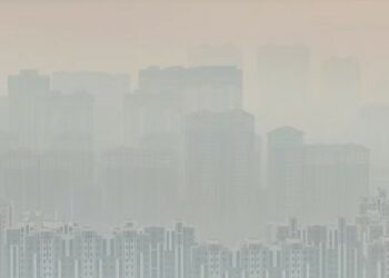 Northwest China cities halt heavy industries to curb pollution