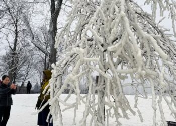 2 weeks of winter storms in US leave dozens dead, chaos in their wake