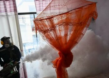 Peru declares health emergency amid rising dengue outbreak