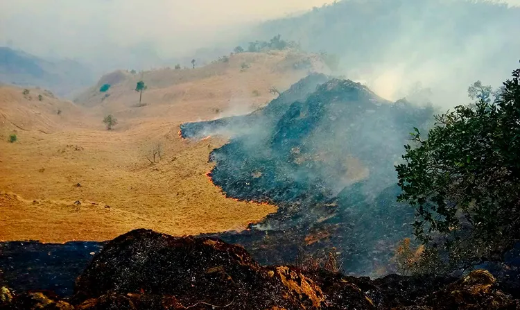 Forest fires rampant in Baglung: 38 incidents recorded in two months