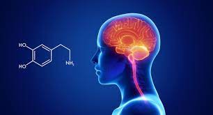 Explainer: Understanding Dopamine
