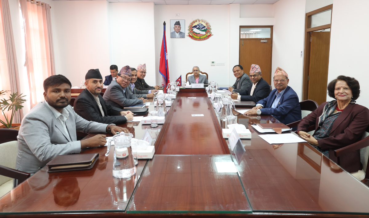 NEA regulator to join South Asian infrastructure forum after Cabinet approval