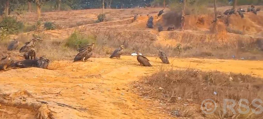 Bardibas emerges as eco-tourism and heritage hotspot