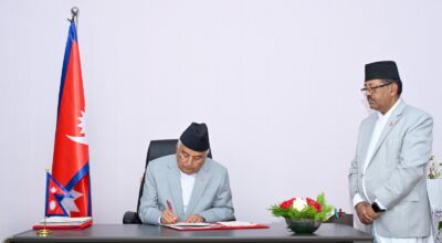 President issues ordinance on Constitutional Council