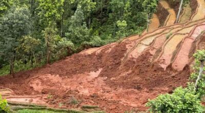 Landslide sweeps away paddy field in Nuwakot, injures six farmers